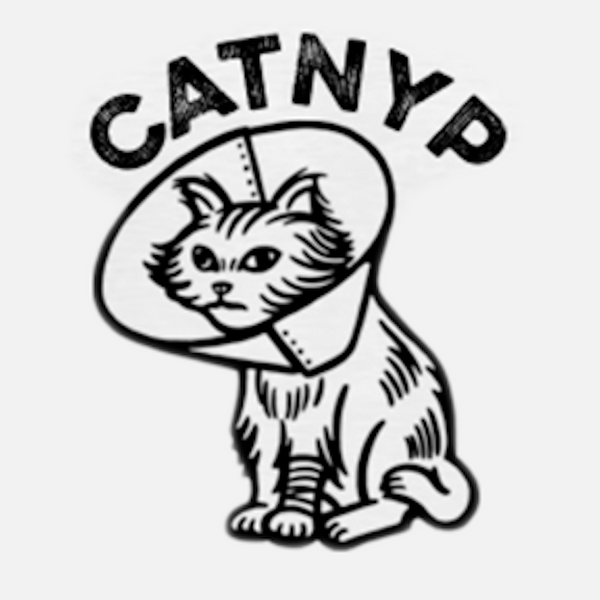 Catnyp the band